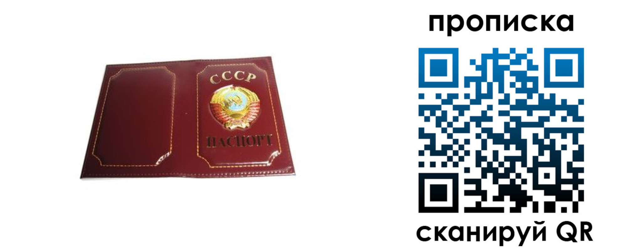 прописка гарантия в Сегеже